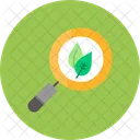 Natural Research Ecology Natural Icon