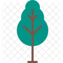 Naturaleza Arbol Planta Icono