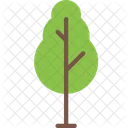 Naturaleza Arbol Planta Icono