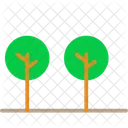 Plant Green Ecology Icon