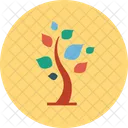 Nature Tree Forest Icon