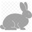 Nature Rabbit Animal Icon