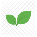 Nature Plant Leaves Icon