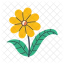 꽃 꽃 식물 아이콘