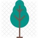 Nature  Icon