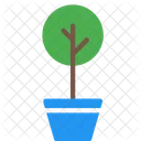 Nature Tree Plant Icon