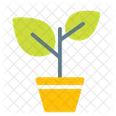 Nature Tree Pot Icon