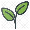 Nature Leaf Leafs Icon