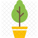 Nature Tree Plant Icon
