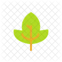 Nature Leaf Plant Icône