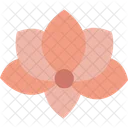 Nature Flower Wild Bloom Natural Petals Icon