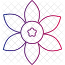 Nature Flower Wild Bloom Natural Petals Icon