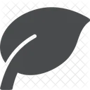 Nature  Icon
