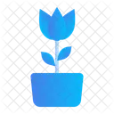 Nature  Icon