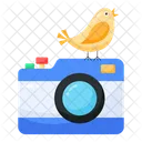 Photography Device Bird Photography Nature Photography Icon