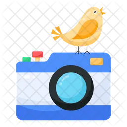 Nature Photography  Icon
