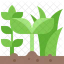 자연 식물  아이콘