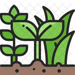 Nature plant  Icon