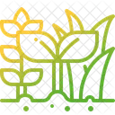 Nature plant  Icon