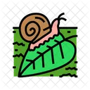 Nature Spring  Icon