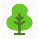 Nature Tree Pine Forest Icon