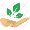 Natureza  Ícone