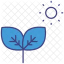 Naturopathy Leaf Sun Naturopathy Leaf Sun Icon