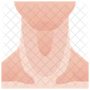 Neck Throat Human Icône