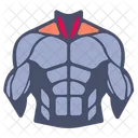 Neck muscle  Icon