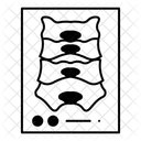 Neck Vertebrae  Icon
