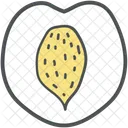 Nectarine  Icon