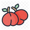 Nectarine Fruit Food Icon