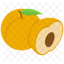 Peach Nectarine Fruit Icon