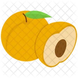 Nectarine Fruit Vector  Icon