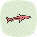 Needlefish Ocean Marine Icon