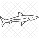 Needlefish Ocean Marine Icon