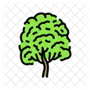 Neem Tree Jungle Icon