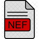 Nef File Format Icon