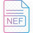 Nef File Format Icon