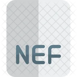 NEF-Datei  Symbol