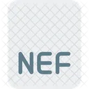 Nef File  Icon