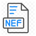 Elektronisches Nef-Nikon-Format  Symbol