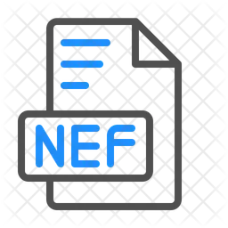 Elektronisches Nef-Nikon-Format  Symbol