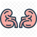 Nefrologia Rinon Medicina Renal Icono