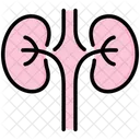 Nefrologia Organo Del Cuerpo Rinon Icono