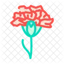 Nelke Blume  Symbol