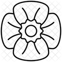Nelke Blumen Blume Symbol