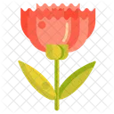 Nelke Blume Botanik Symbol