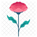 Nelke  Symbol
