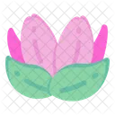 Nelumbo nucifera  Ícone